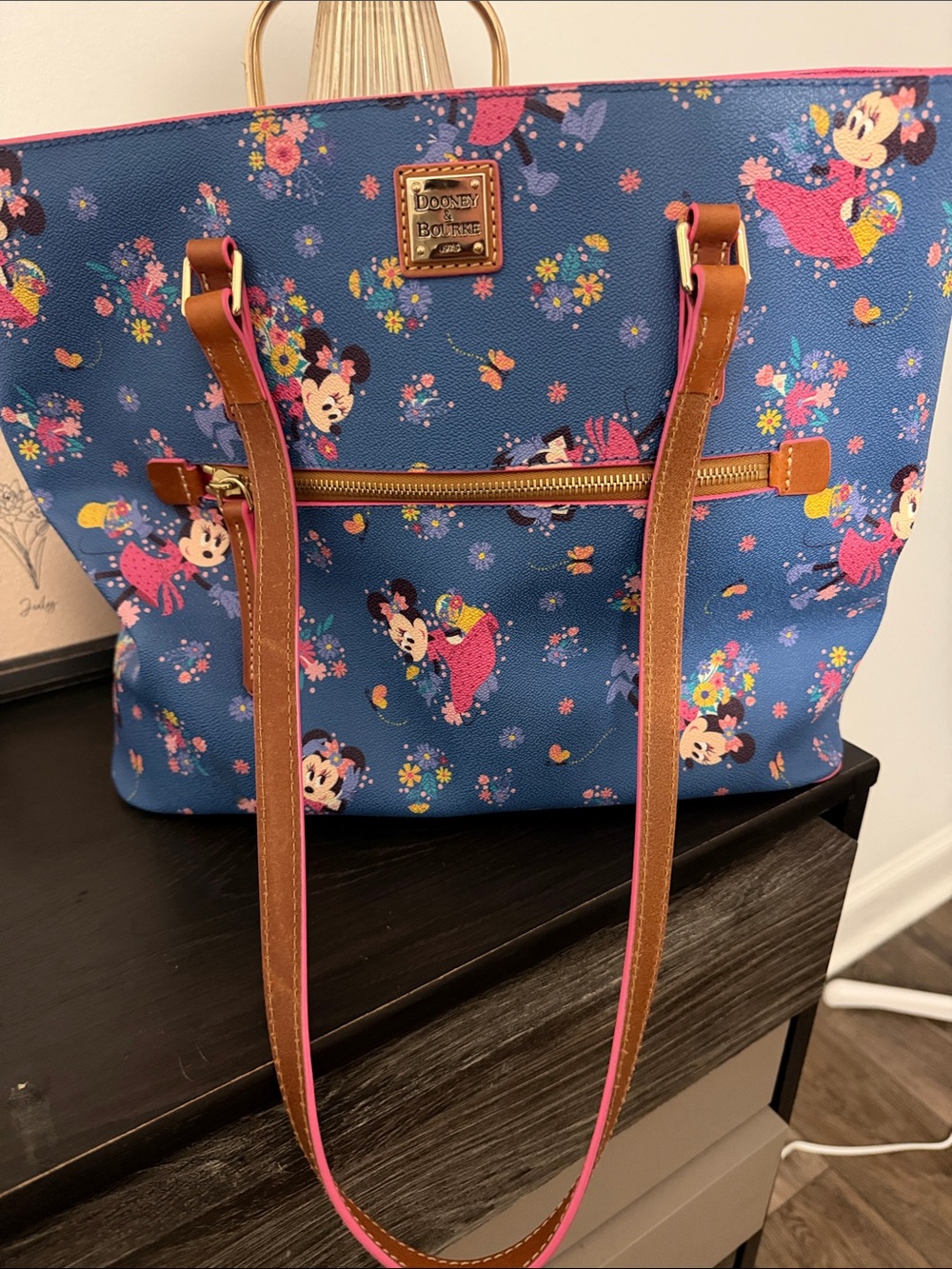 Disney Dooney & Bourke